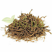 Копитень або копитняк корінь 50 гр