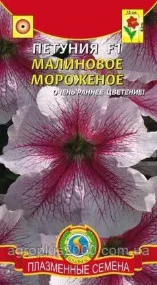 Насіння Петунія грандифлору Малинове морозиво F1, 10 насіння Агроніка