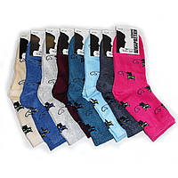 Жіночі шкарпетки Топ-Тап - 13.50 грн./пара (високі, котики)