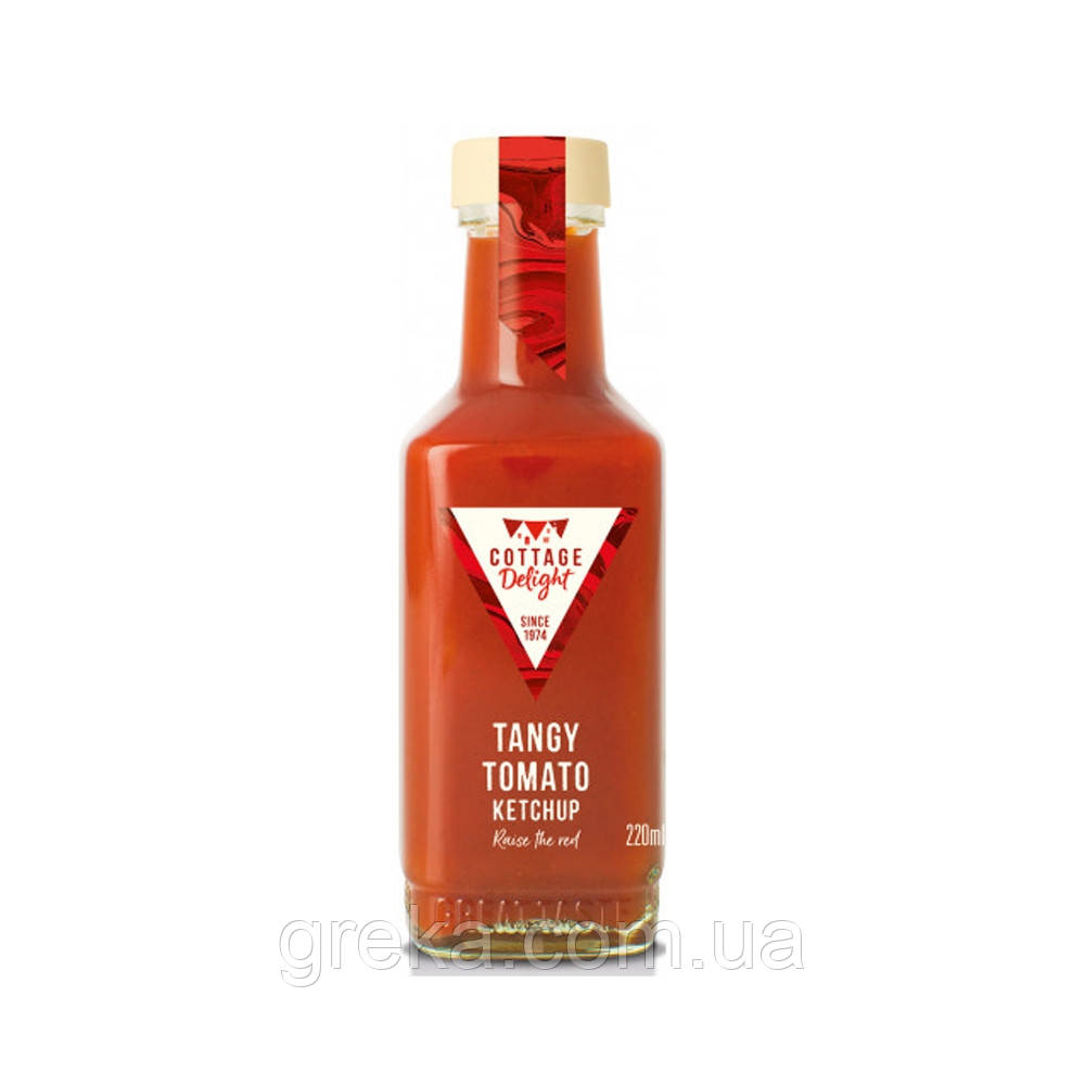 Кетчуп Tangy Tomato 200 мл - фото 1 - id-p1609949720