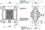 Пневматичний мембранний насос BOXER 150 PVDF IB150-FC-MTTFT..., фото 3
