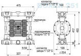 Пневматичний мембранний насос BOXER 251 PVDF IB251-FC-HTTFT..., фото 3