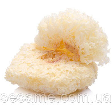 Гриб кораловий білий Фунгус Shanyuan 80г