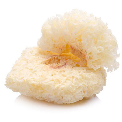 Гриб коралловый белый Фунгус Shanyuan 80г - фото 1 - id-p1609978017