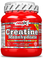 Amix Creatine monohydrate 750 г