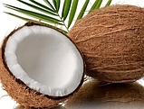 Борошно кокосове 500г Provita, фото 2