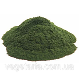 Спіруліна порошок 100г Top Spirulina, фото 11