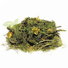 Адоніс весняний, горицвіт трава 50 гр.