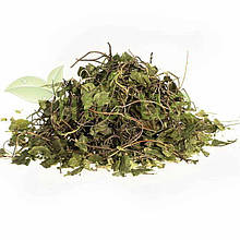 Борова матка або ортілія однобока трава 50 гр.