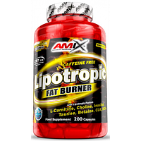 Amix Lipotropic Fat Burner 100 капсул