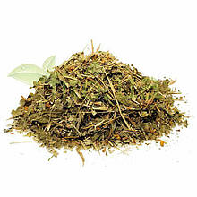 Вербейник, вербозілля звичайне, ранник трава 50 гр.