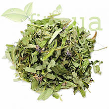 Вербена трава 50 гр.