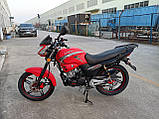 Мотоцикл дорожній Viper ZS200A (мотоцикл Вайпер ZS
200А), фото 3