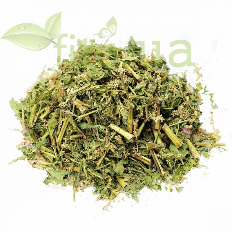 Горець почечуйний 50 гр, фото 1