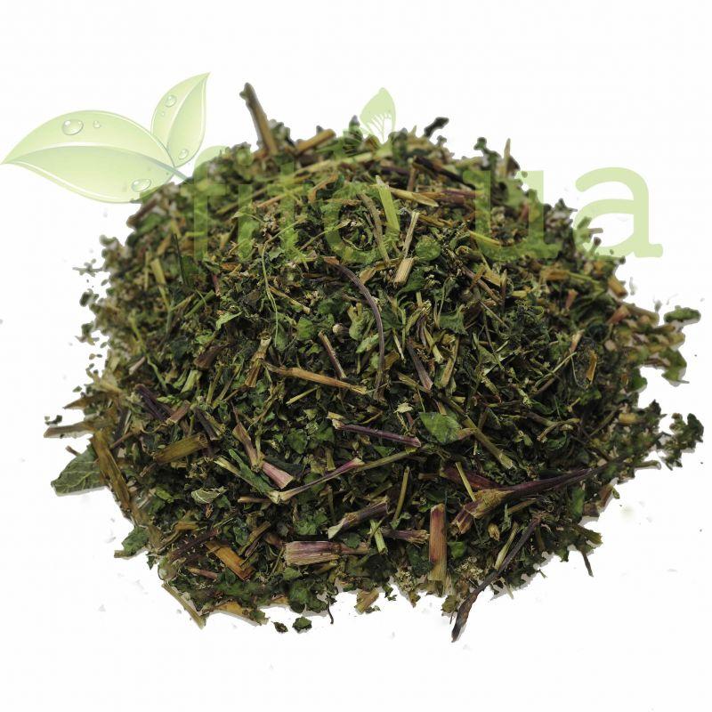 Гречиха трава 50 гр., фото 1