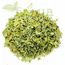 Нетреба звичайна трава або дурнишник, зобник трава 50 гр. Свіжий урожай