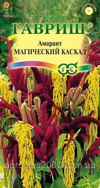 Насіння Амарант Магічний каскад, суміш 0,1 грама Гавріш