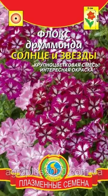 Насіння Флокс Друммонда Сонце та зірки 0,05 грама Агроніка