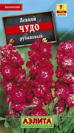 Насіння Левкой сивий високорослий Чудо Рубіновий 0,1 грама Аеліта, фото 1