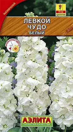 Насіння Левкой сивий високорослий Чудо Білий 0,1 грама Аеліта, фото 1
