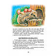 Всі добрі люди - одна сім'я. В. Сухомлинський, фото 2