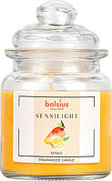 Свеча ароматизированная Bolsius Манго 13 см (snd79-100)