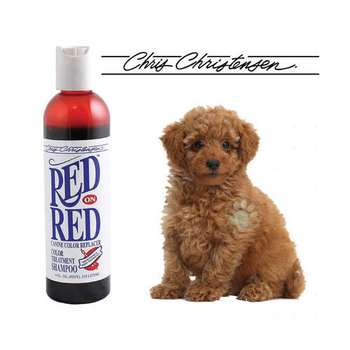 Chris christensen top red on red