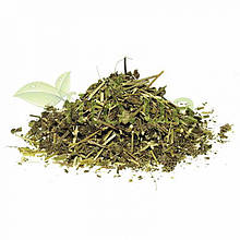 Буквиця трава 50 гр.