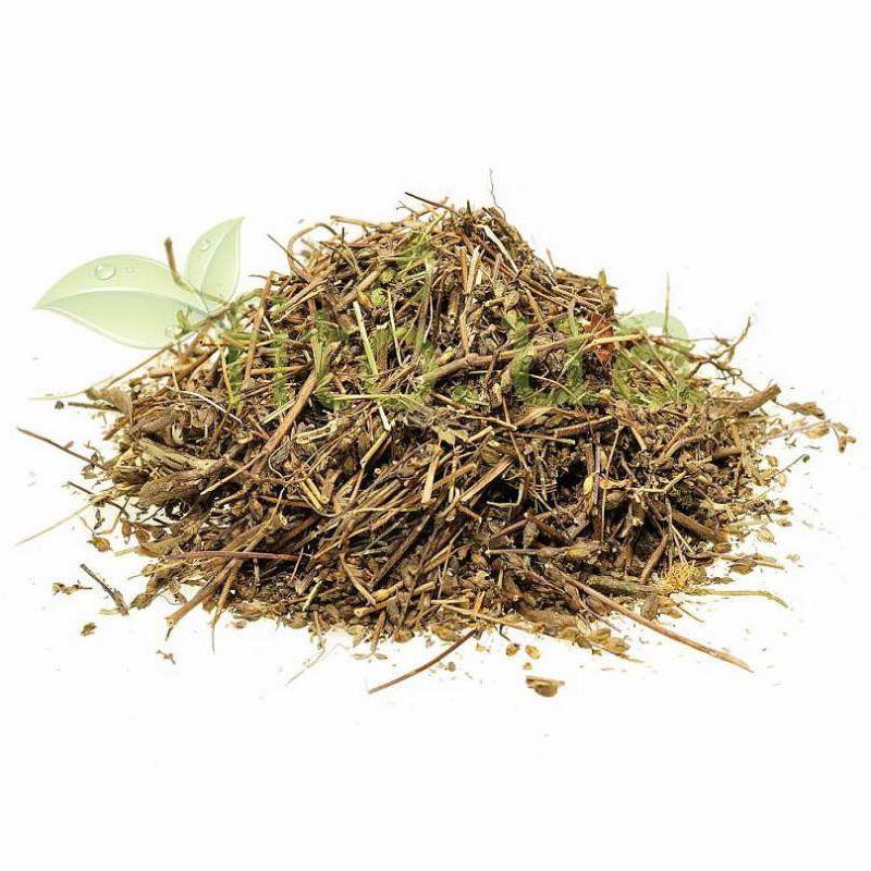 Очанка трава 100 гр, фото 1