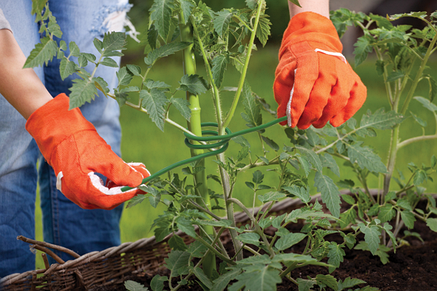 Дріт садовий SOFT 5мм х 4м з м'якого ПВХ, TYDS5X4, фото 2