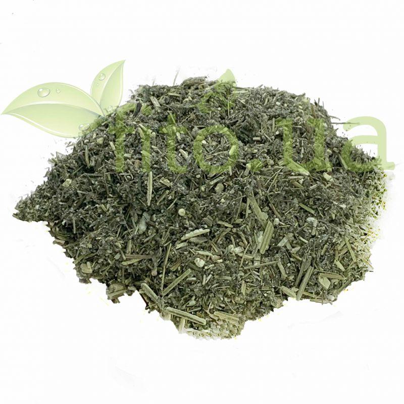 Чорнобильник (полин звичайний) трава 50 гр., фото 1