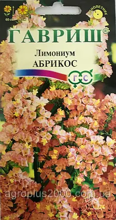 Насіння Кермек (лимоніум,статіце) Абрикос 0,01 грама Гавріш, фото 1