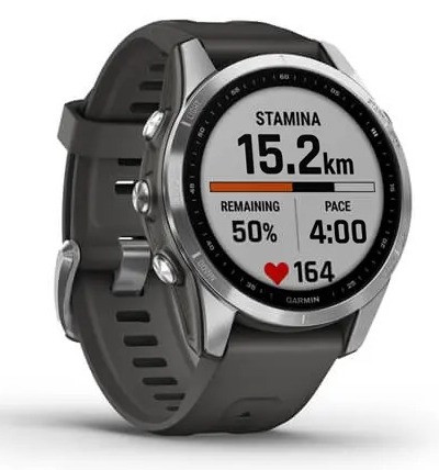 Смарт-годинник Garmin Fenix 7S – Standard Edition Silver with Graphite Band