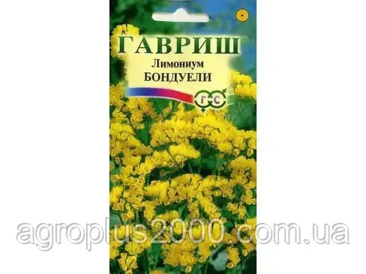 Насіння Кермек (лимоніум,статіце) Бондуелі 0,05 грама Гавріш, фото 1