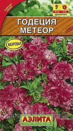 Насіння годенія Великоцвіткове Метеор 0,3 грама Аеліта, фото 1