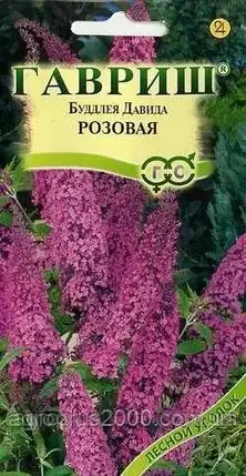 Насіння Будлея 34 рожева 0,1 грама Гавріш, фото 1