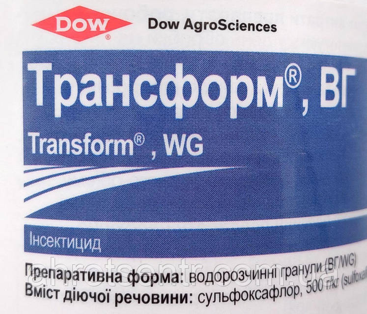 Әйелім, достарым және мен моншадамыз.