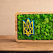Годинник з мохом і Гербом України. Герб України, фото 4