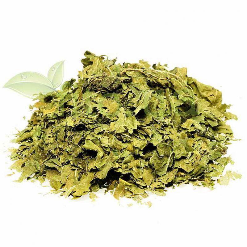 Шовковиця листя 1 кг. Карпати, фото 1