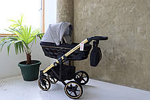 Дитяча коляска 2 в 1 Adamex Diego DW-500