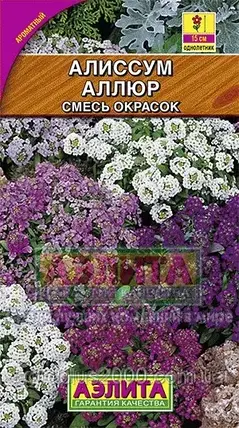 Насіння Аліссум однорічний Аллюр суміш 0,1 грама Аеліта, фото 1
