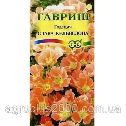 Насіння годеція для зрізання Слава Кельведону 0,1 грама Гавріш, фото 3