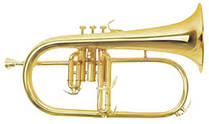 Флюгельгорн Maxtone TFC51LM Flugerhorn