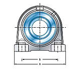 Підшипник UCPA206 (UC206+PA206), фото 2