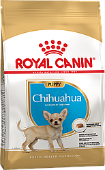 RC CHIHUAHUA PUPPY для цуценят Чіхуа-хуа, 0,5kg