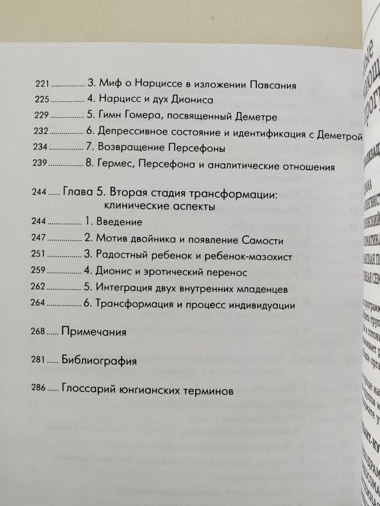 Нарциссизм и трансформация личности. Психология нарциссических расстройств личности Натан Шварц-Салант - фото 4 - id-p1611014356