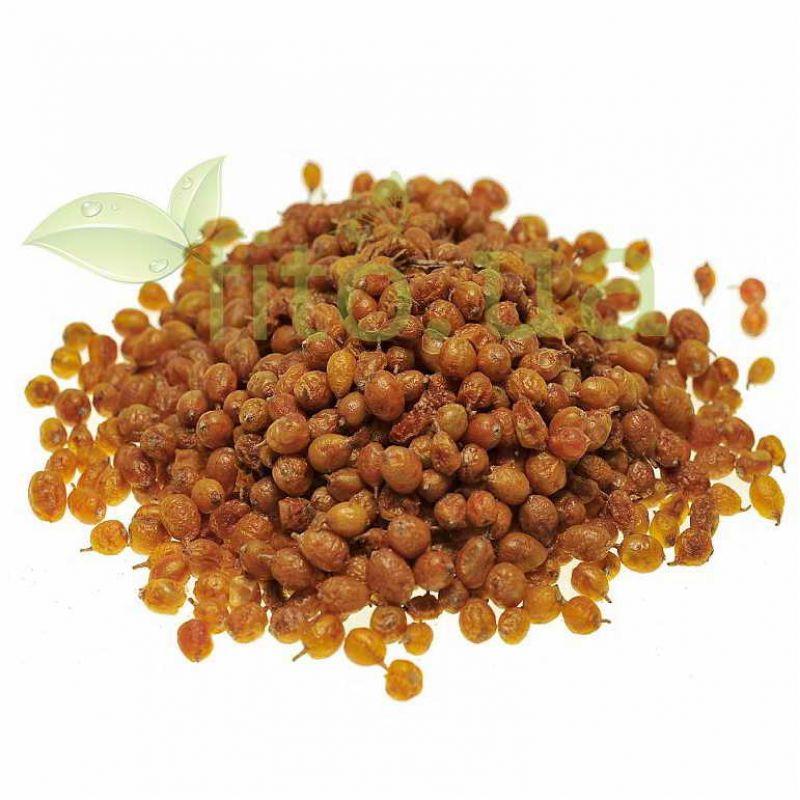 Обліпиха ягоди 100 гр., фото 1