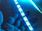 Світлодіодна Стрічка RGB 5050 2.4 м, фото 4