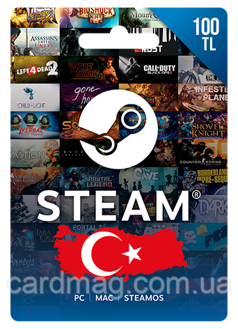 Steam Gift Card на сумму 100 TL (регион Турция), фото 1