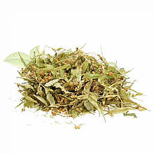 Липа цвіт 50 гр, свіжий урожай